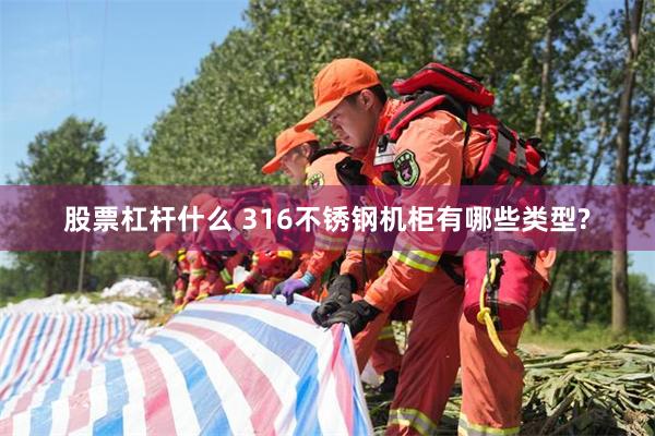 股票杠杆什么 316不锈钢机柜有哪些类型?