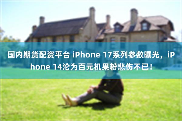 国内期货配资平台 iPhone 17系列参数曝光，iPhone 14沦为百元机果粉悲伤不已！