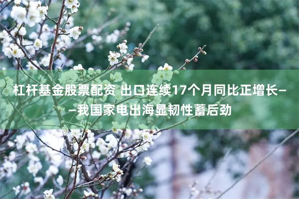 杠杆基金股票配资 出口连续17个月同比正增长——我国家电出海显韧性蓄后劲