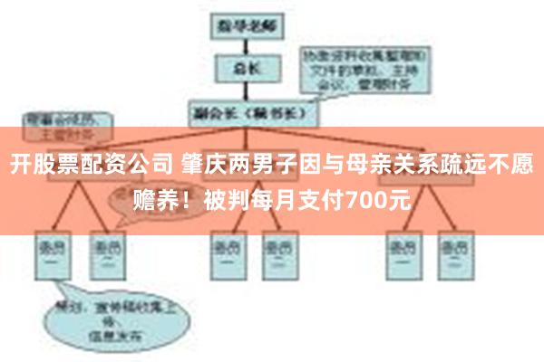 开股票配资公司 肇庆两男子因与母亲关系疏远不愿赡养！被判每月支付700元