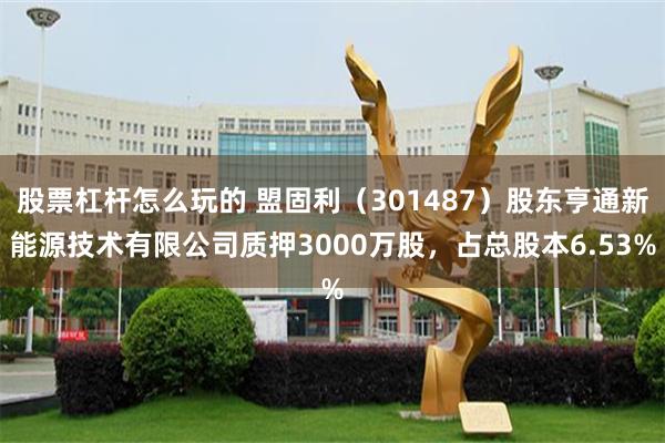 股票杠杆怎么玩的 盟固利（301487）股东亨通新能源技术有限公司质押3000万股，占总股本6.53%