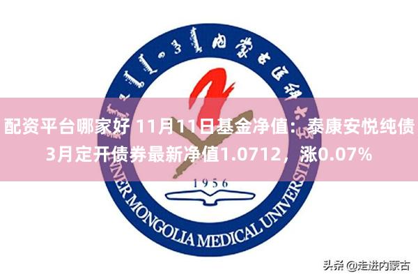 配资平台哪家好 11月11日基金净值：泰康安悦纯债3月定开债券最新净值1.0712，涨0.07%