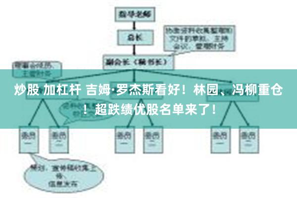 炒股 加杠杆 吉姆·罗杰斯看好！林园、冯柳重仓！超跌绩优股名单来了！