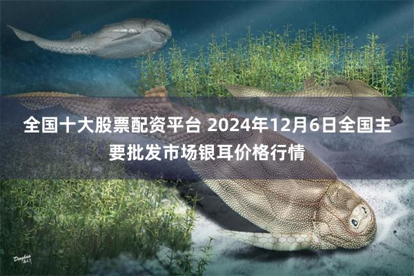 全国十大股票配资平台 2024年12月6日全国主要批发市场银耳价格行情