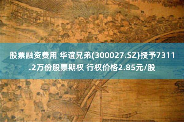 股票融资费用 华谊兄弟(300027.SZ)授予7311.2万份股票期权 行权价格2.85元/股