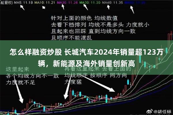 怎么样融资炒股 长城汽车2024年销量超123万辆，新能源及海外销量创新高