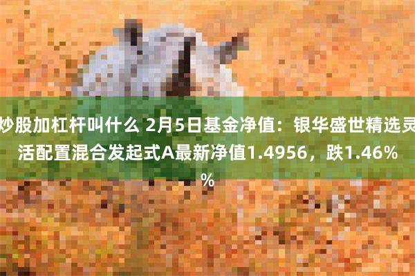 炒股加杠杆叫什么 2月5日基金净值：银华盛世精选灵活配置混合发起式A最新净值1.4956，跌1.46%